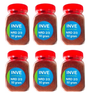 Cám thái inve 2/3 hủ 50g