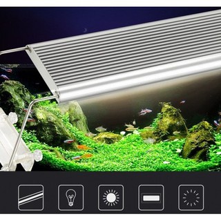 [RẺ VÔ ĐỊCH] ĐÈN LED ODYSSEA SLIM X 900 CHO BỂ CÁ