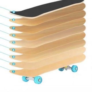Ván trượt patin cho người lớn