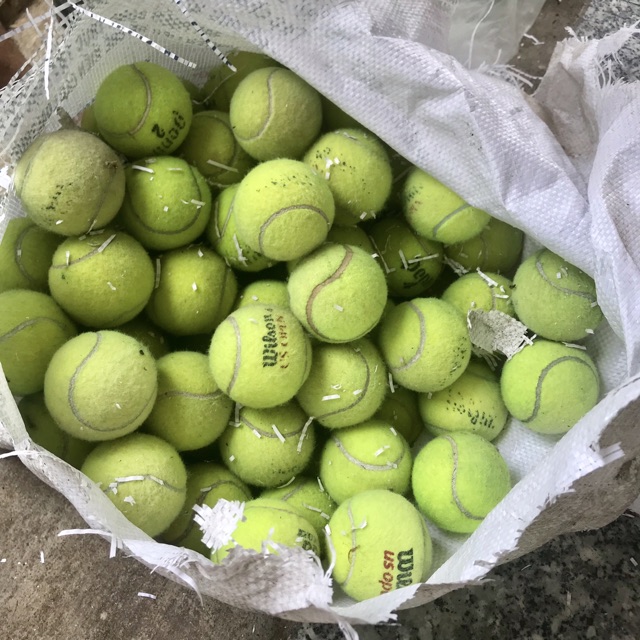 Banh/Bóng Tennis cũ giá rẻ