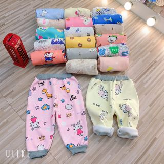 Combo quần nỉ bông nhiều màu
