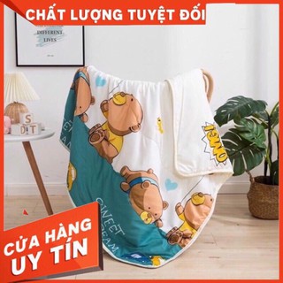 Chăn đũi 2 mặt cho bé -kt 1m1*1m3/ cotton/lớp bông mỏng ở giữa