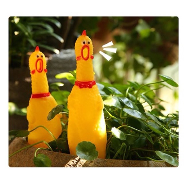 *Hoả tốc* Gà bóp kêu Shrilling Chicken, gà A Lử kêu siêu to - Đồ chơi thú vị vui nhộn