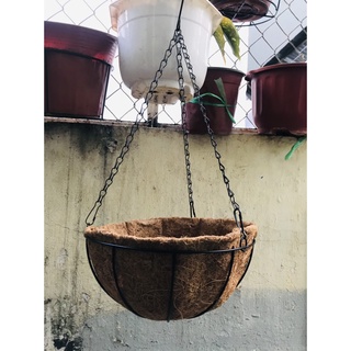 Chậu treo xơ dừa size lớn