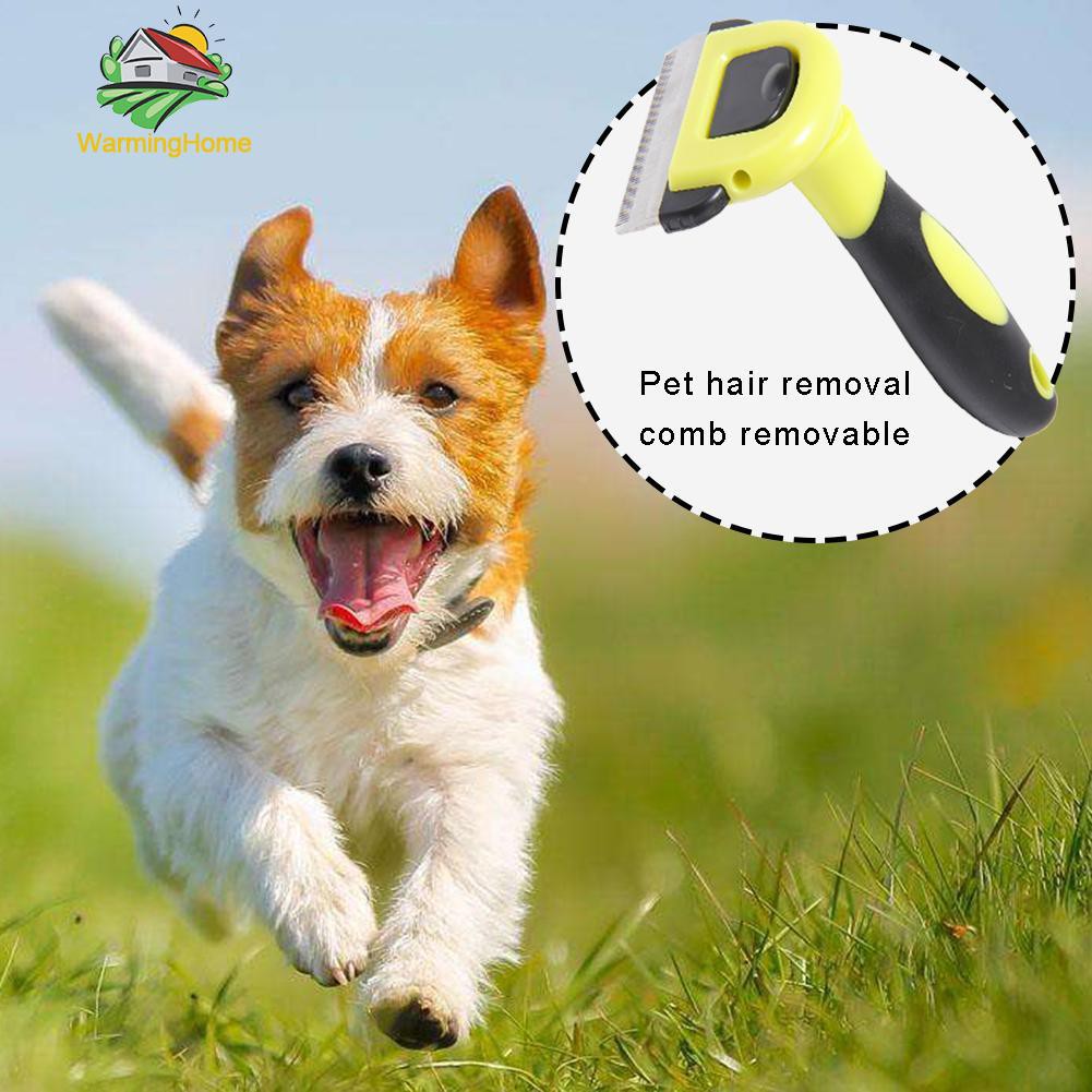 Lược cắt tỉa lông cho thú cưng