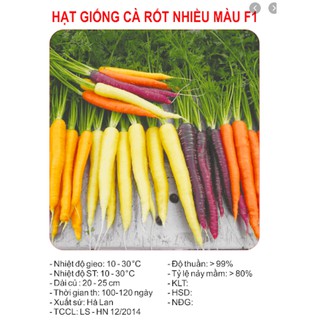 HẠT GIỐNG CÀ RỐT NHIỀU MÀU GÓI 0,2 GRAM