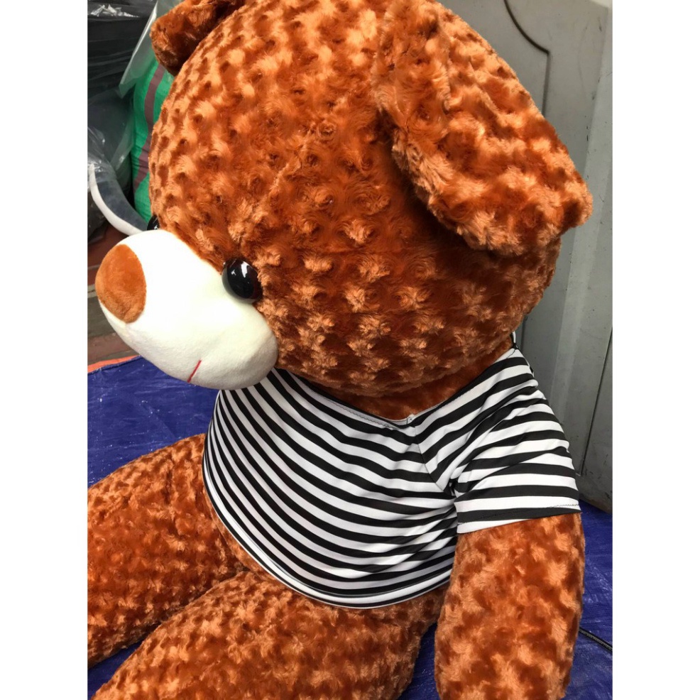 Gấu Teddy 1m1 1m3 lông mềm mượt Siêu Đáng Yêu Ôm Siêu Phê - Giá Tại Xưởng