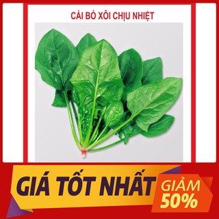 Hạt giống Cải Bó Xôi 20gr ~2500 hạt