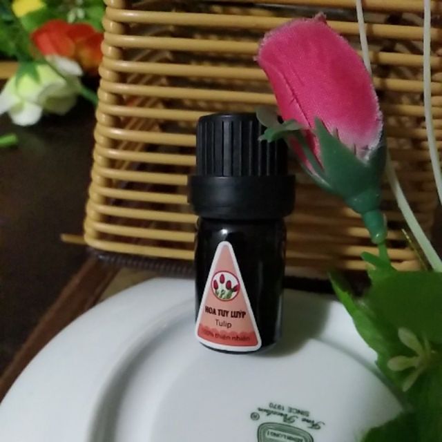 tinh dầu hoa tuy luýp lọ xông 5ml