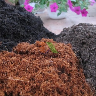 Mụn xơ dừa bao 20Lit đã xử lý