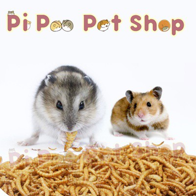 Sâu khô rang size to