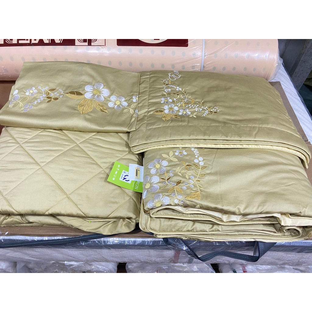 Bộ Drap chun chần EVERON MDSC038