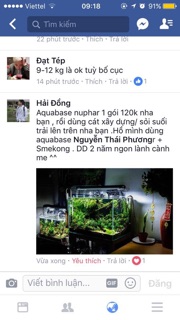 CỐT NỀN THUỶ SINH