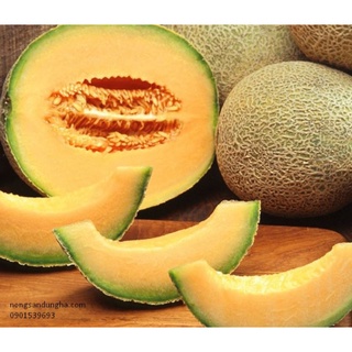 Dưa lưới 55k/1kg (quả từ 1,5kg-2kg)