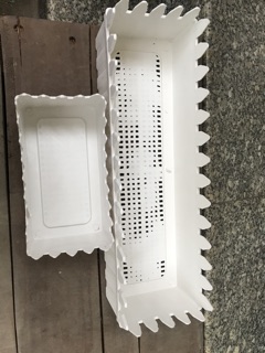 combo 2 Chậu hàng rào gân nhám size 20 cm