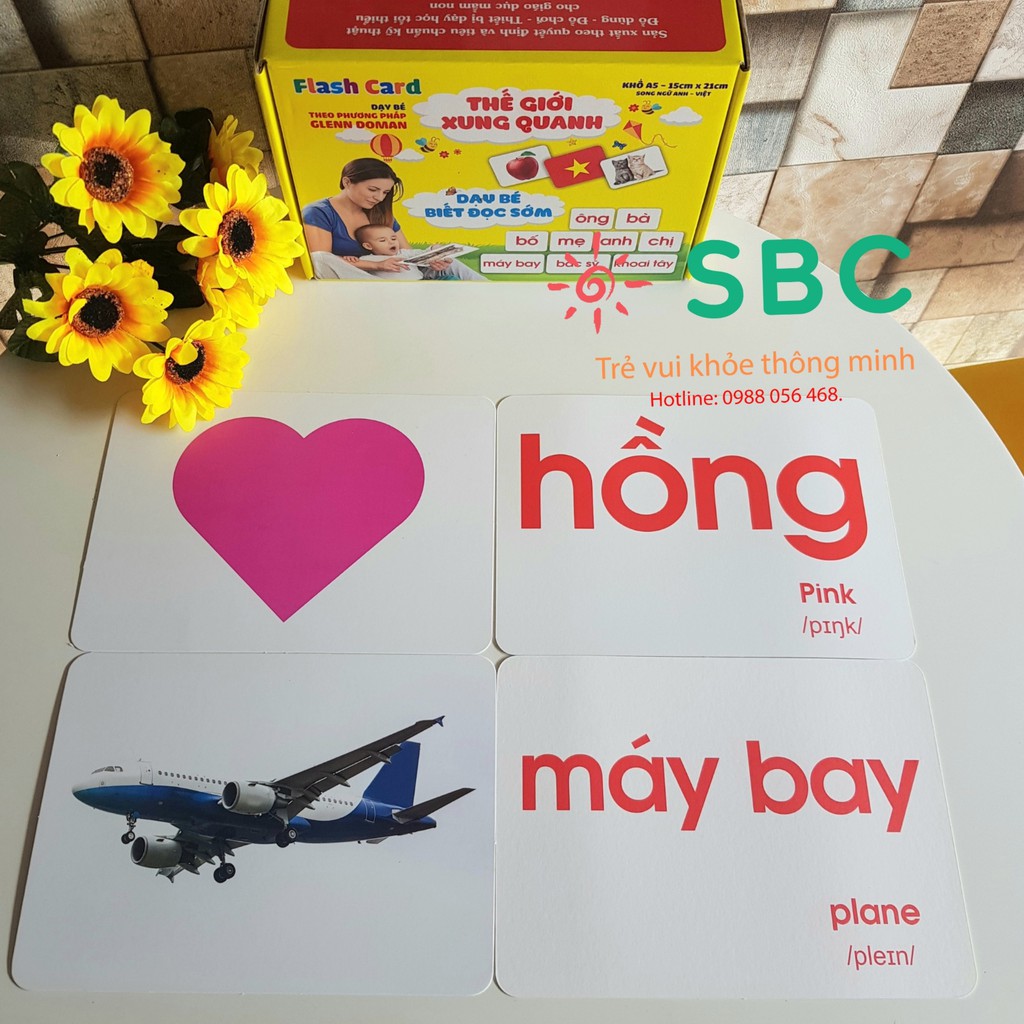 Thẻ học thông minh TGXQ và thẻ chấm học toán dot cards 21x21cm Ivory PP Glenn Doman các size A5 12x16 và 7x10 cm