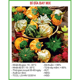 Hạt Giống Bí đĩa bay 10 Hạt/ Gói