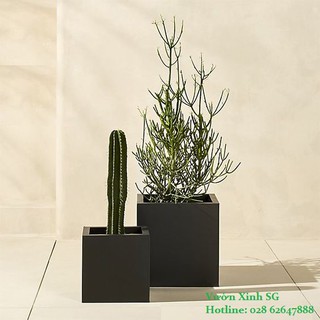 Chậu đá mài VUÔNG 36*36*36 - Đen