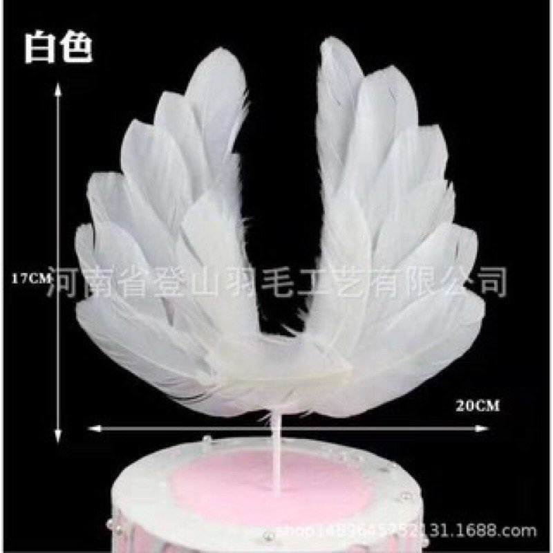 Cánh lông vũ trang trí bánh kem sang trọng hpbd