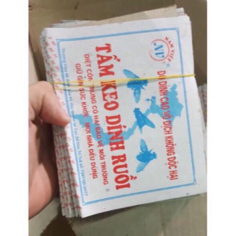 set 10 tấm keo dính ruồi siêu chắc, keo dính bẫy côn trùng