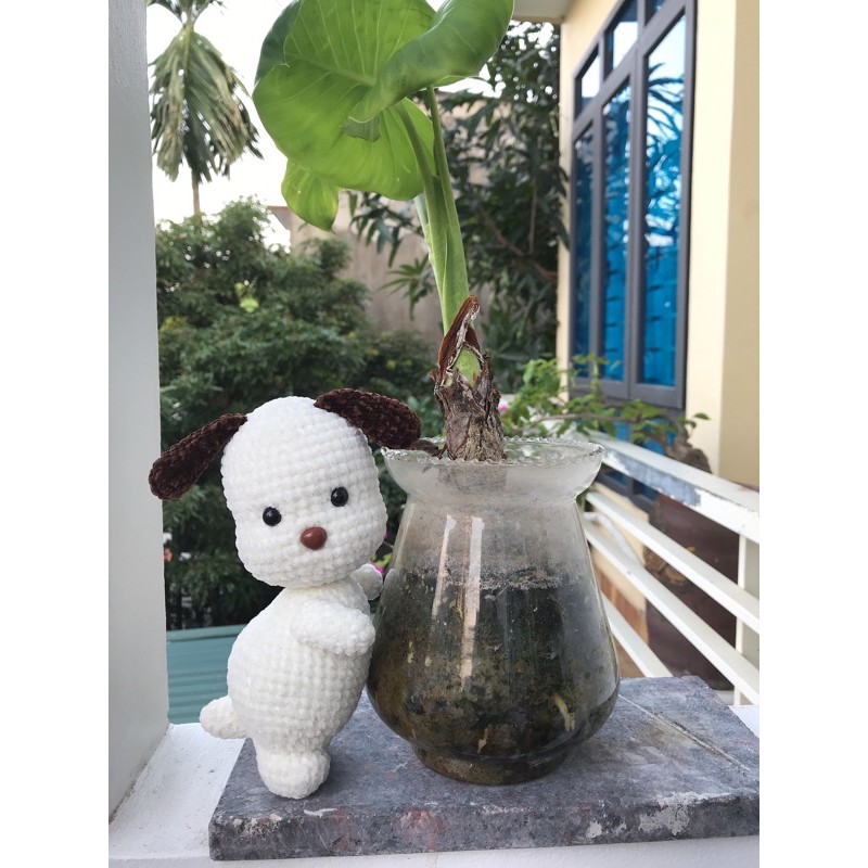 Set tự làm + 1 set vịt