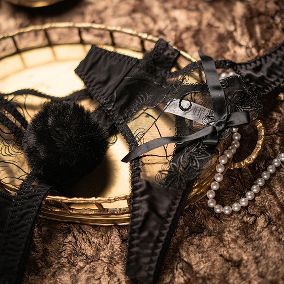 Quần lót VARSBABY N101 phối ren size S-2XL thời trang cho nữ