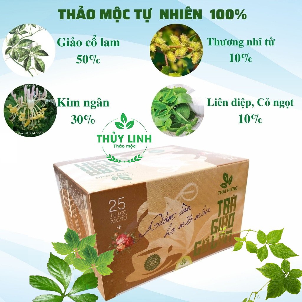 Trà Giảo cổ Lam Thái Hưng - Hộp 25 túi lọc 2,5g (NEW) - Giảm cân, Hạ mỡ máu