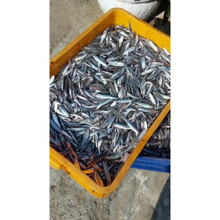 Nước mắm cá cơm nhà làm