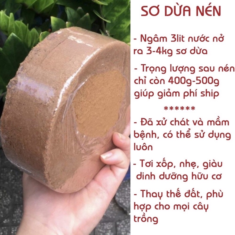 Đất nén hữu cơ mụn sơ dừa bánh lớn đã xử lý dùng trồng rau củ quả, hoa cảnh