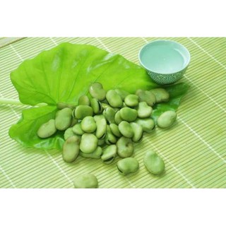 Đậu tằm chiên [Vicia faba ]