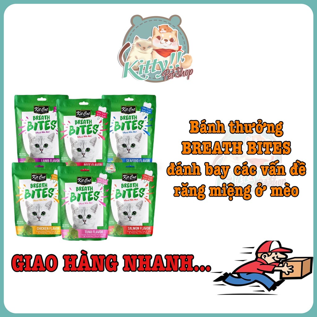 Snack Breath Bites Kit Cat - bánh thưởng cho mèo -  đánh bay các vấn đề răng miệng - Kitty Pet Shop Bmt