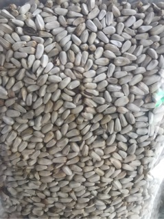 HẠT KHAM TRẮNG KL 1KG