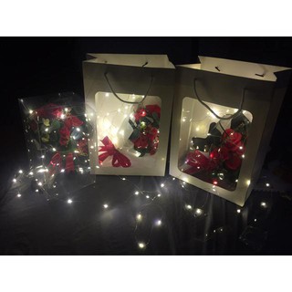 ☀️Trang Trí Tết ☀️ Led Fairy Light - Dây Led Đom Đóm 1 Mét 10 Bóng [TẶNG Kèm PIN]