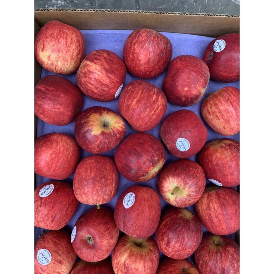 TÁO GALA NEW ZEALAND THÙNG 18KG (CHỈ GIAO HCM)
