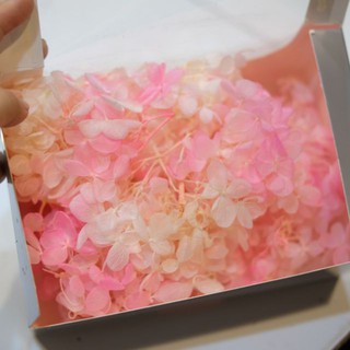 Cẩm tú cầu khô nhiều màu trang trí, nguyên liệu làm handmade (5gr)