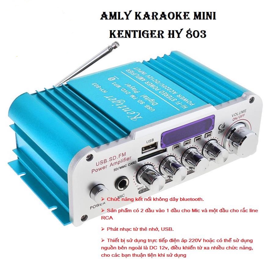Amly Mini Karaoke Bluetooth 12V-220V Kentiger Âm Thanh Cực Đỉnh, Dễ Sử Dụng, Kết Nối Bluetooth, Hàng Nhập Khẩu