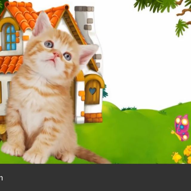 LỌC NƯỚC GIA ĐÌNH HCM