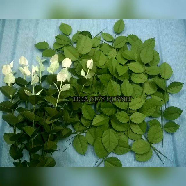 1 tờ  GIẤY MỸ THUẬT Xanh lá đậm/ xanh rêu 50x75cm- 60gsm