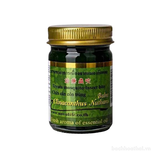 Dầu cù Green Herb Clinacanthus Nutans Balm Insect Bite xoa bóp ġiảm ƌau Thái Lan