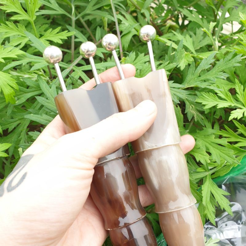 (HOT) Bọ cạp sừng đầu bạc đánh gió giải độc 12ly - Cỡ Lớn