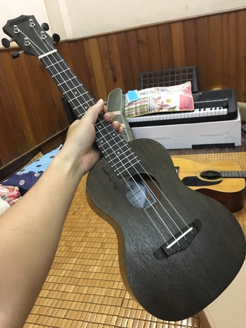 Đàn ukulele concert hey im your