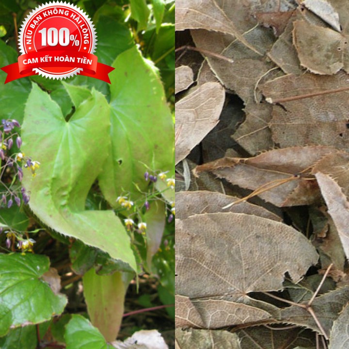 500g lá dâm dương hoắc