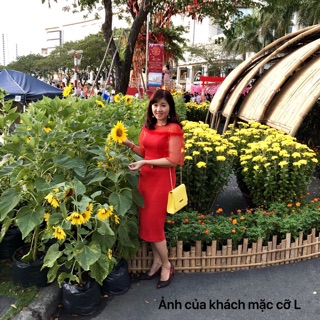 Đầm đỏ dáng ôm phối lưới trễ vai (có ảnh phản hồi khách chụp)