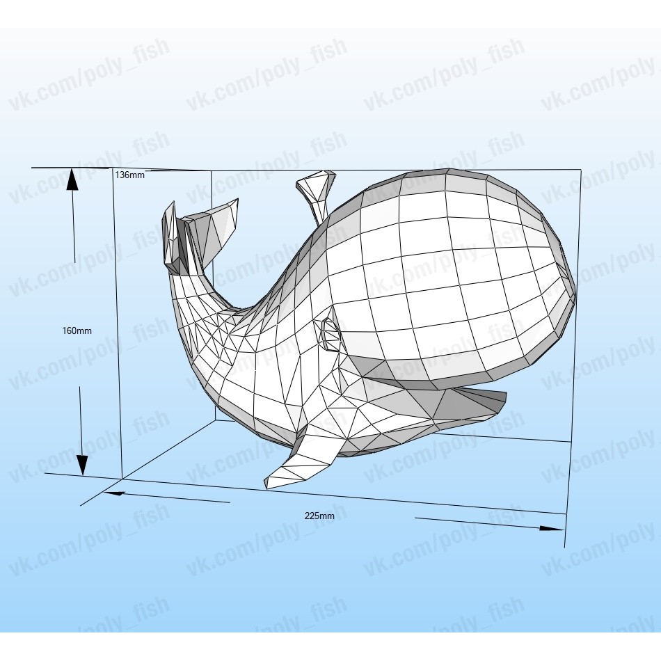 Mô hình giấy _ Cá voi 03