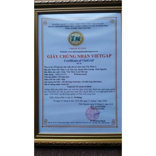Chè Thái Nguyên gói 500g