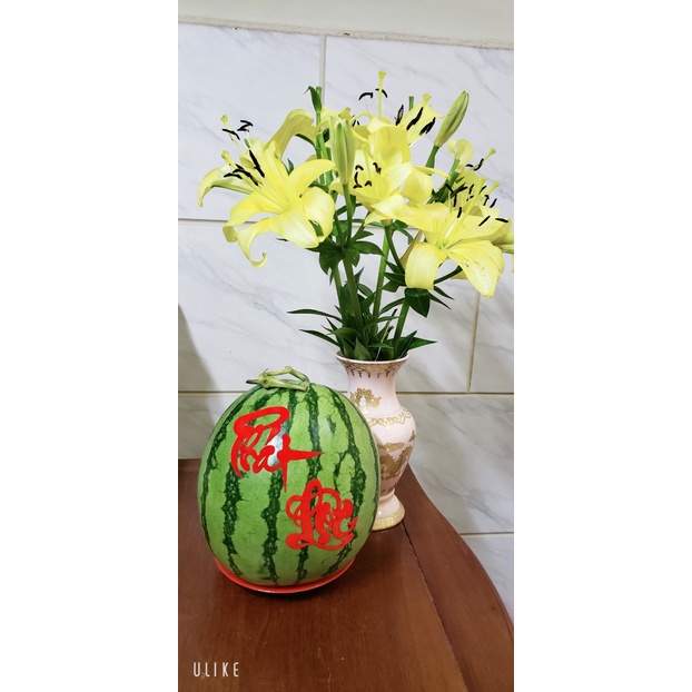 Chữ nhung đỏ dán dưa dán bưởi dán trái cây tết