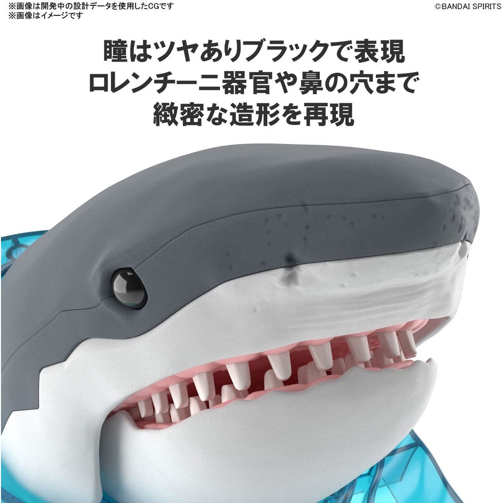 Mô hình lắp ráp Exploring Lab Nature Great White Shark Bandai 4573102633927