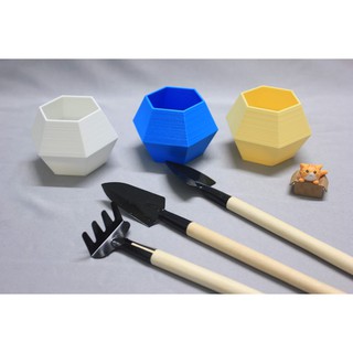 Chậu cây lục giác