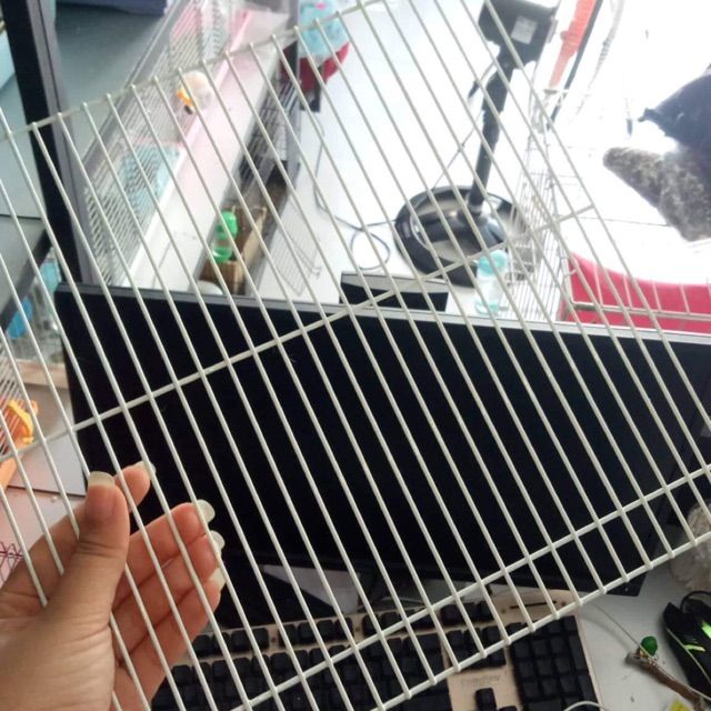 Vách ngăn lồng đại