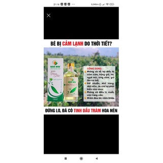 Tinh Dầu Tràm Huế